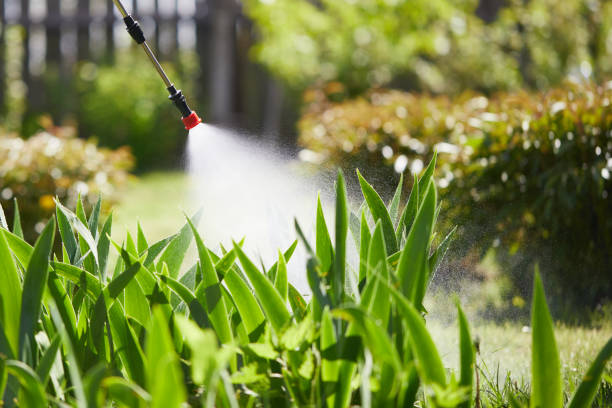 Tamper-Resistant Bait Stations for Rodents in Robie Creek