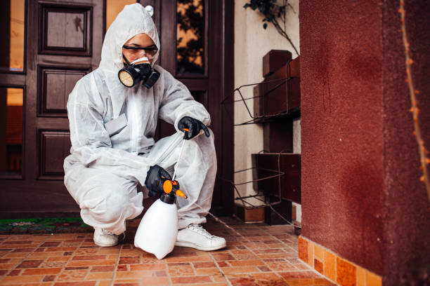 Attic and Crawl Space Rodent Treatment in Robie Creek
